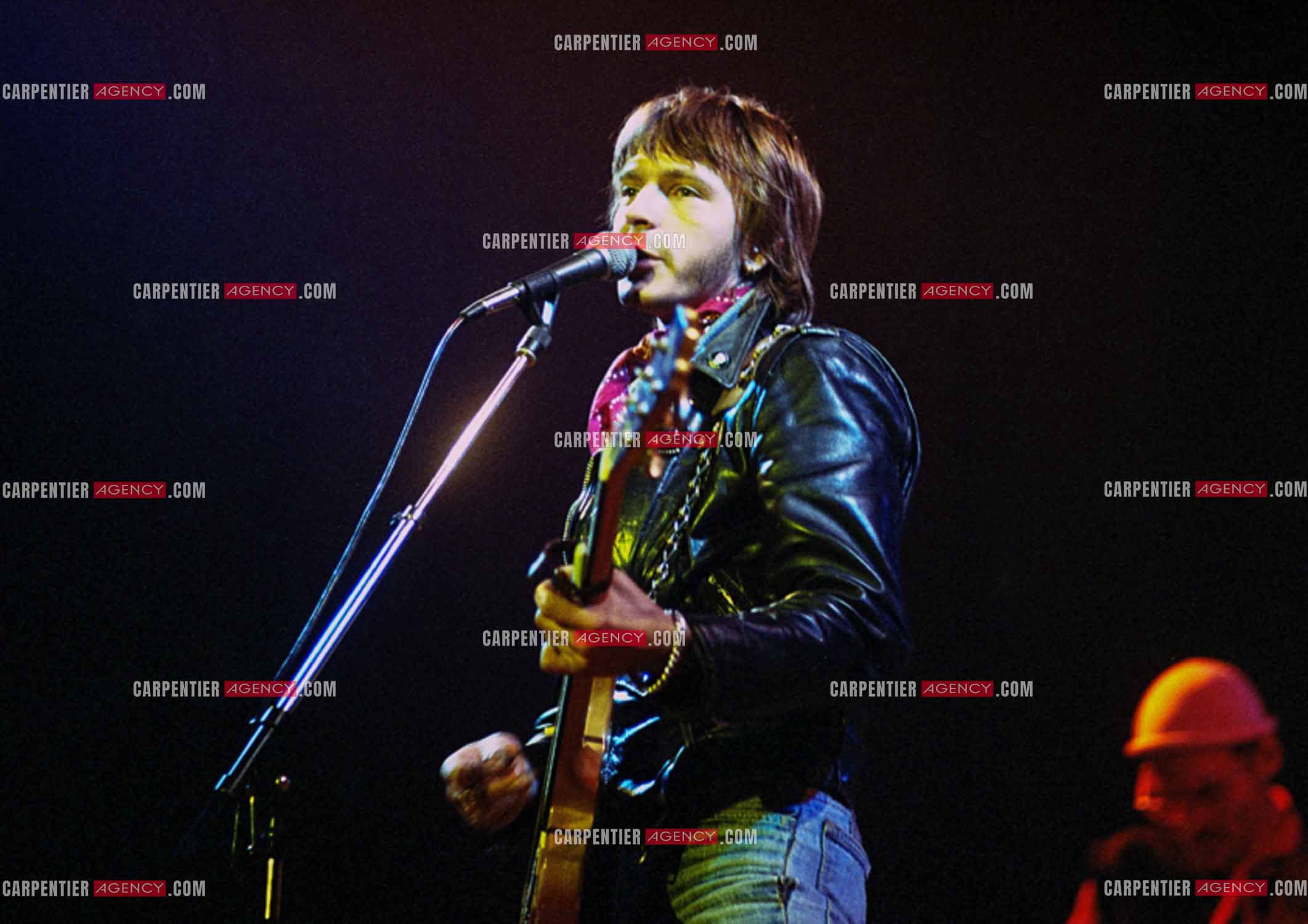 Le chanteur Renaud Séchan en concert.