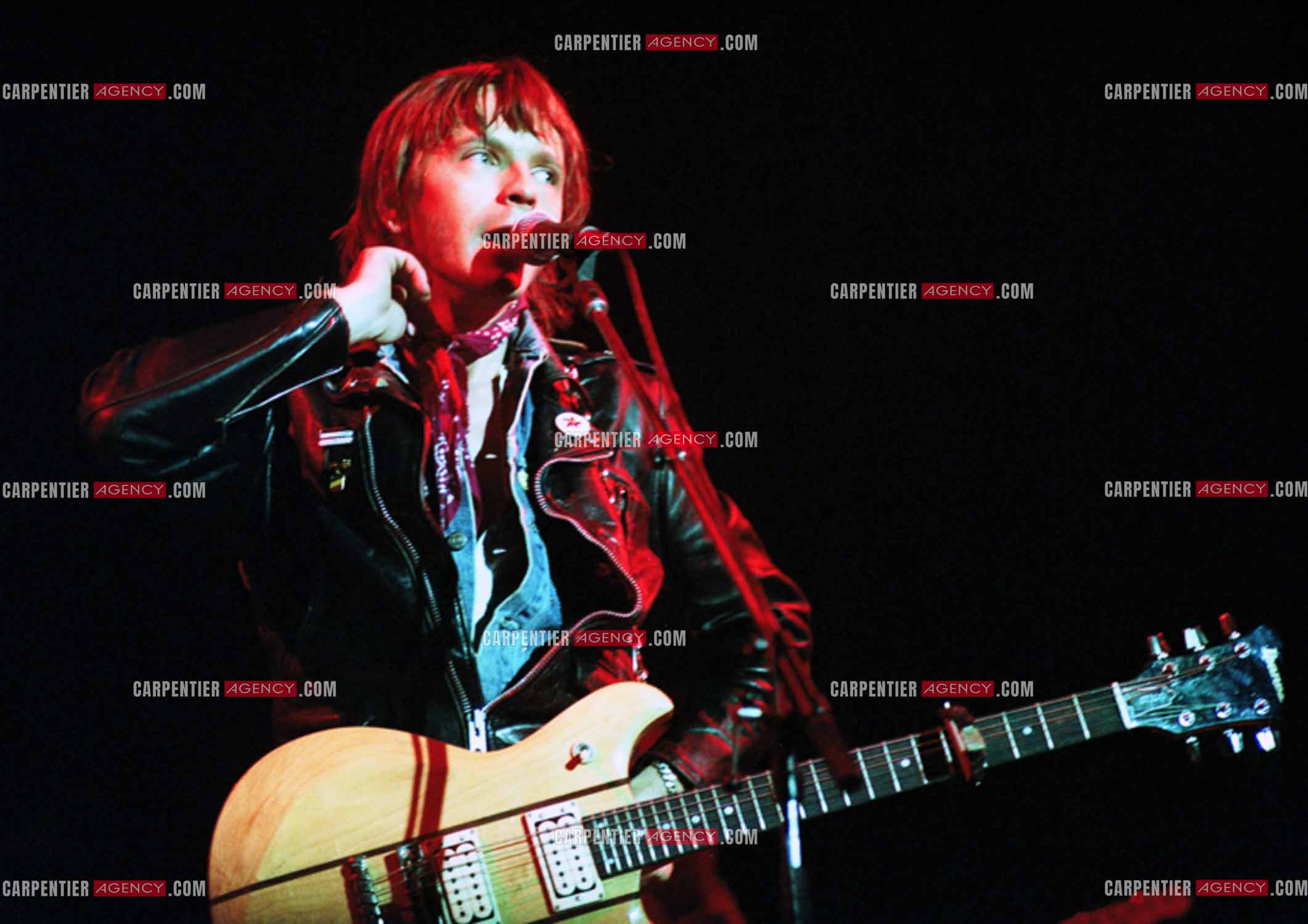 Le chanteur Renaud Séchan en concert.