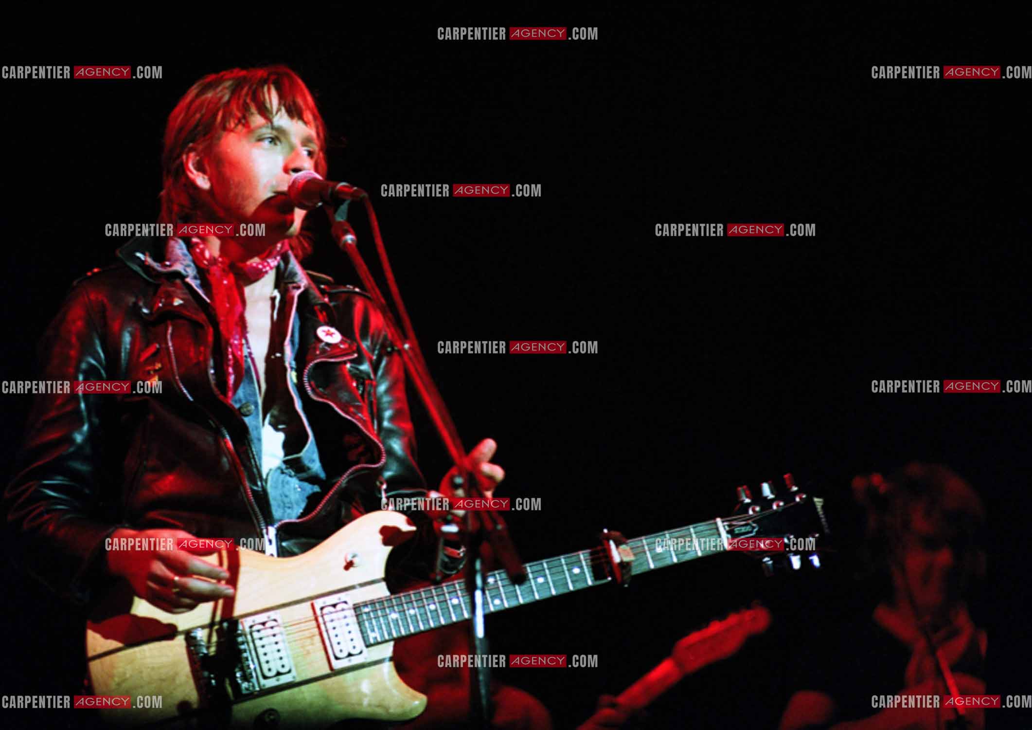 Le chanteur Renaud Séchan en concert.