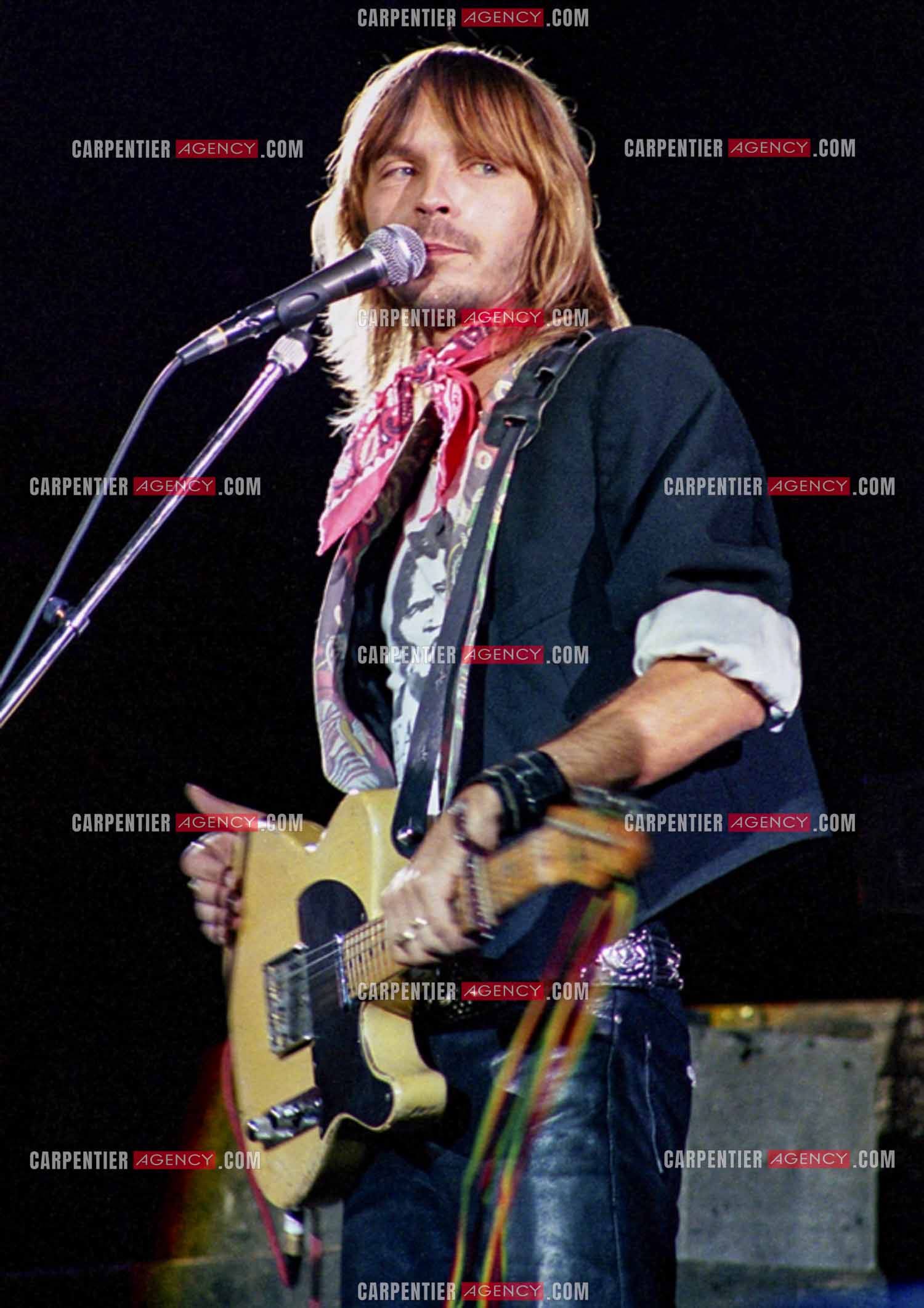 Le chanteur Renaud Séchan en concert.