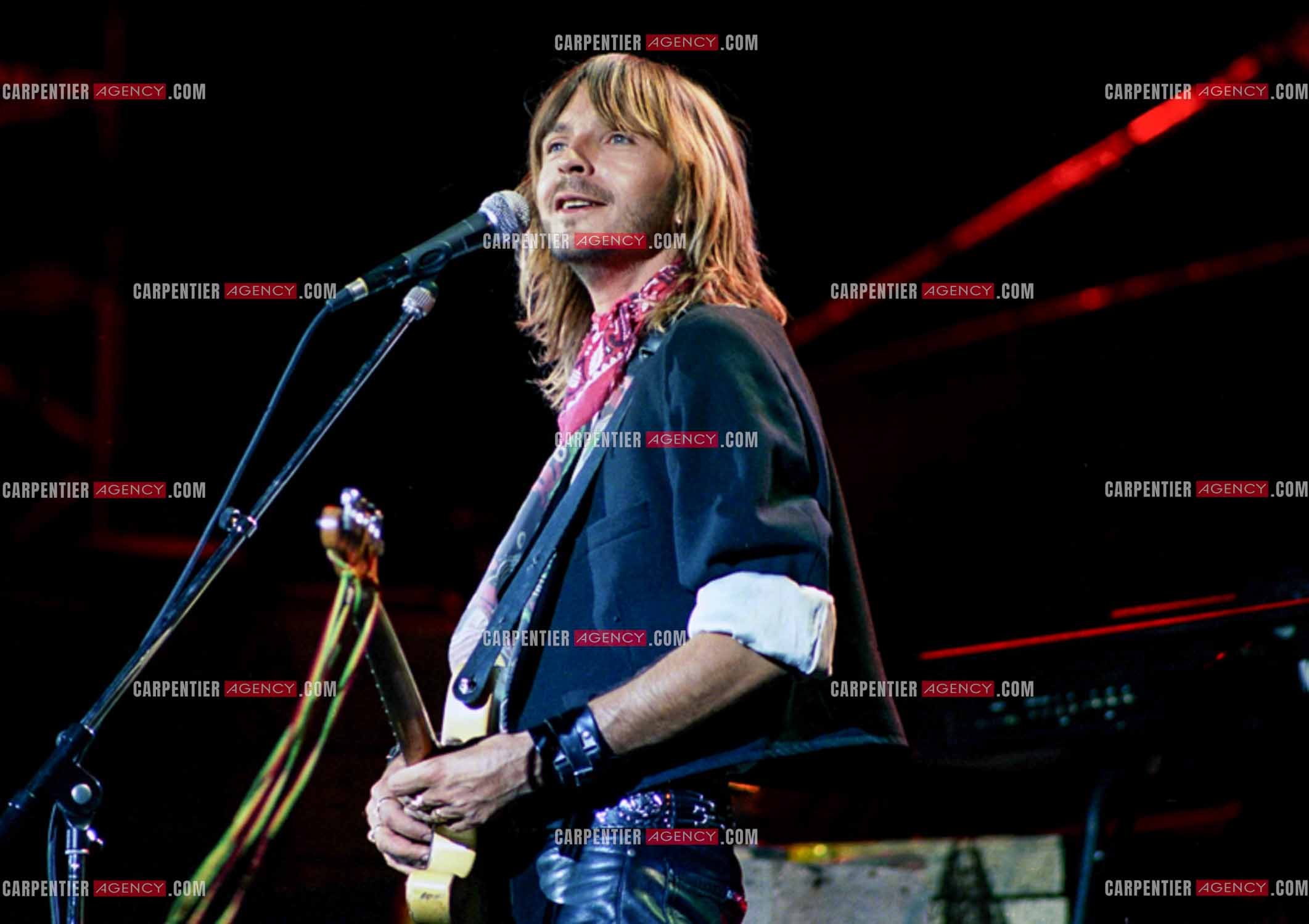 Le chanteur Renaud Séchan en concert.