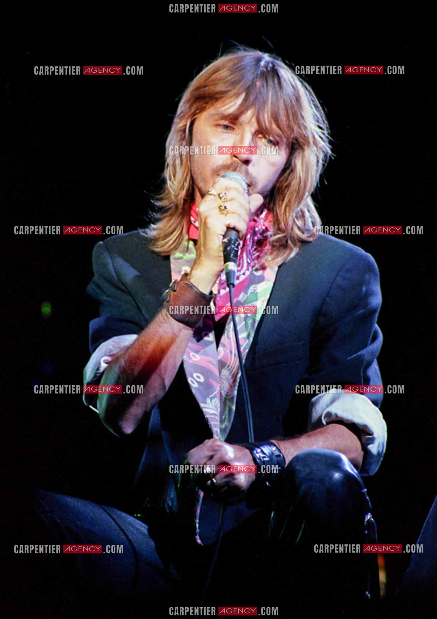 Le chanteur Renaud Séchan en concert.