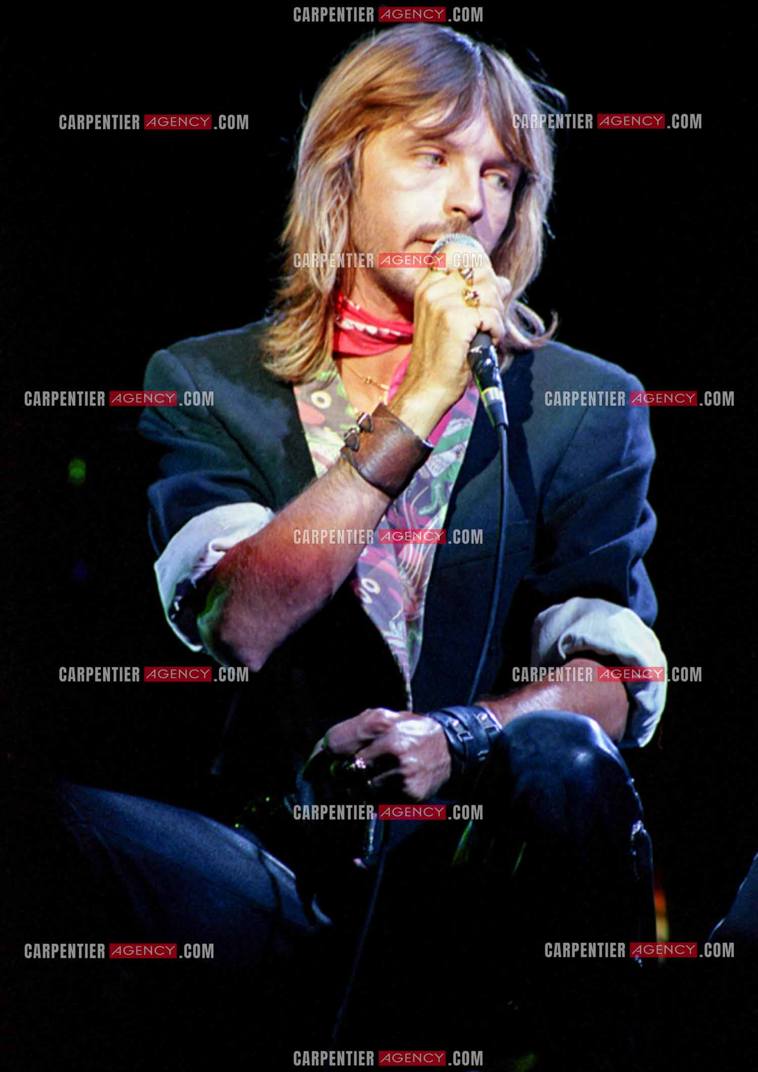 Le chanteur Renaud Séchan en concert.