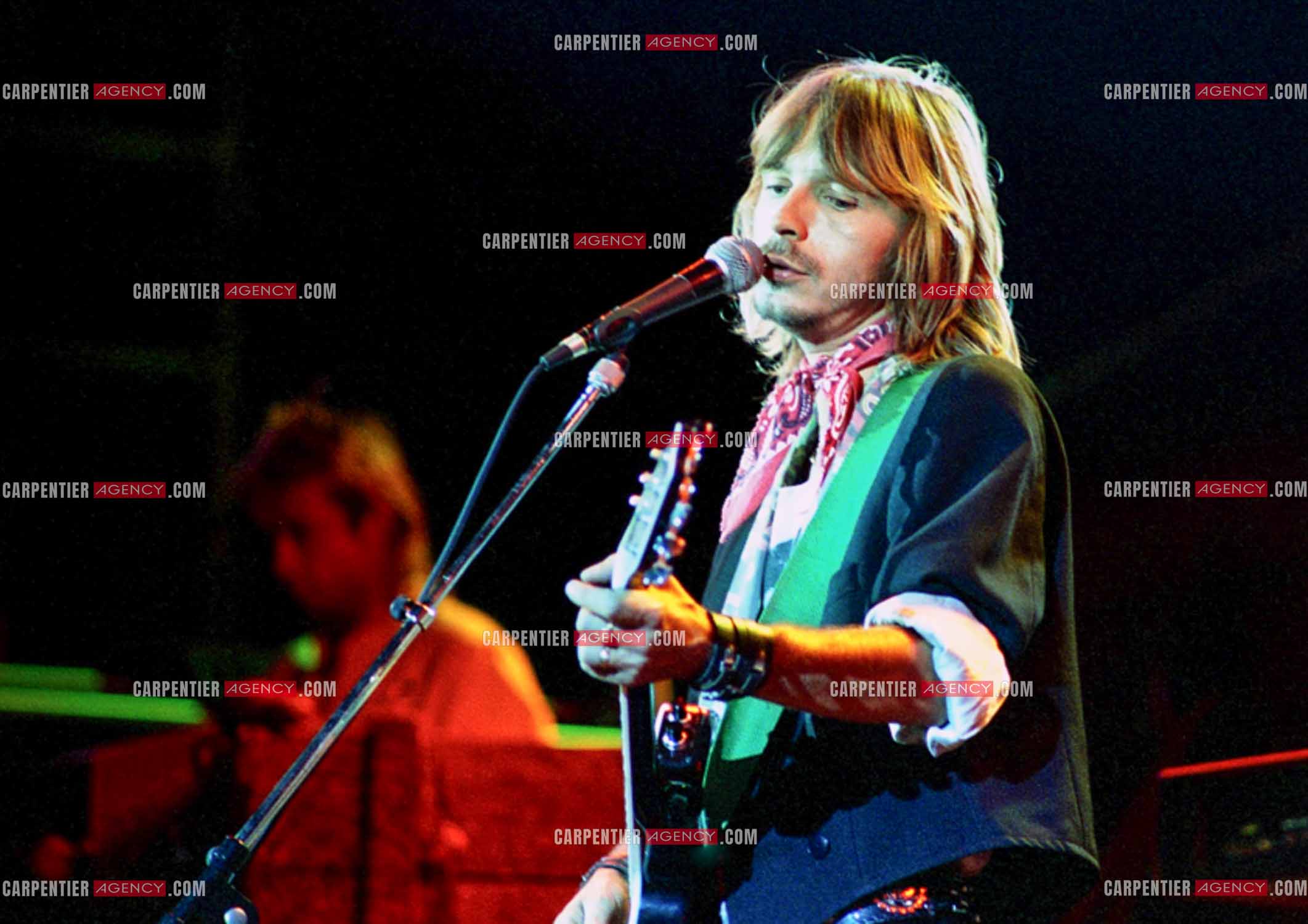 Le chanteur Renaud Séchan en concert.