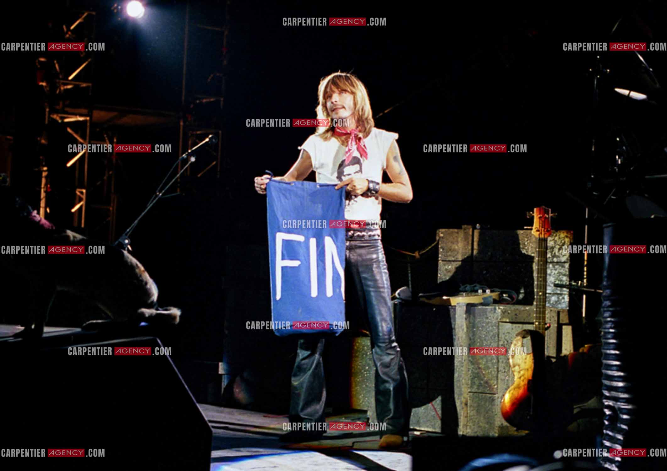 Le chanteur Renaud Séchan en concert.