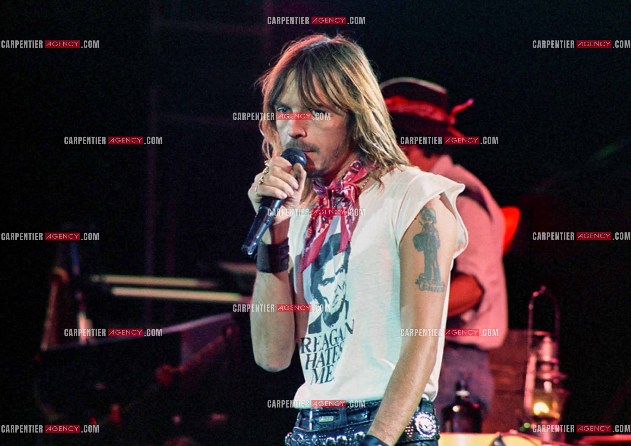 Le chanteur Renaud Séchan en concert.