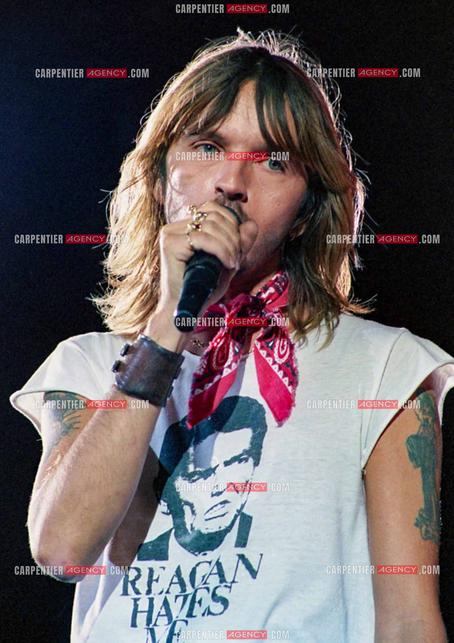 Le chanteur Renaud Séchan en concert.