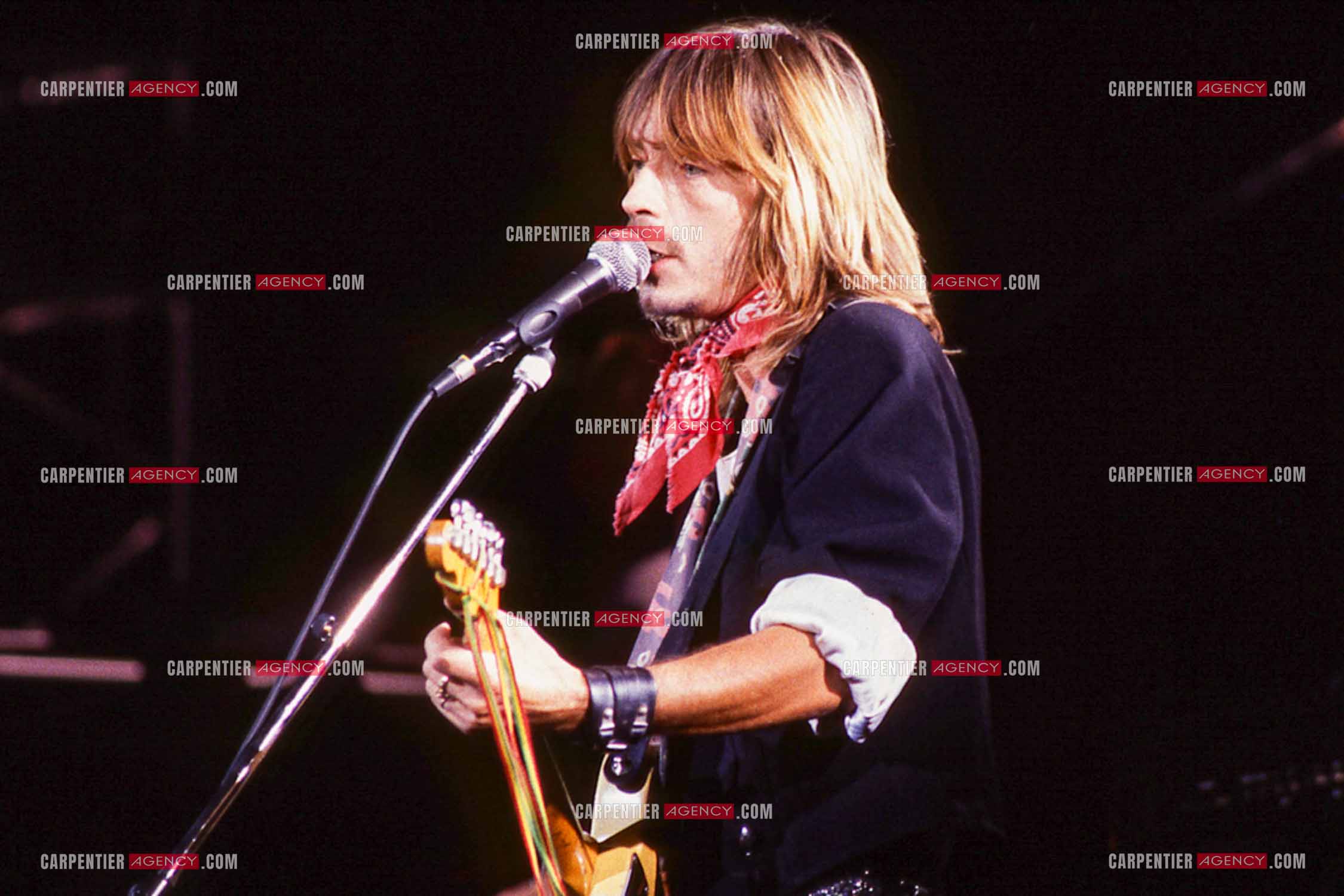 Le chanteur Renaud Séchan en concert.