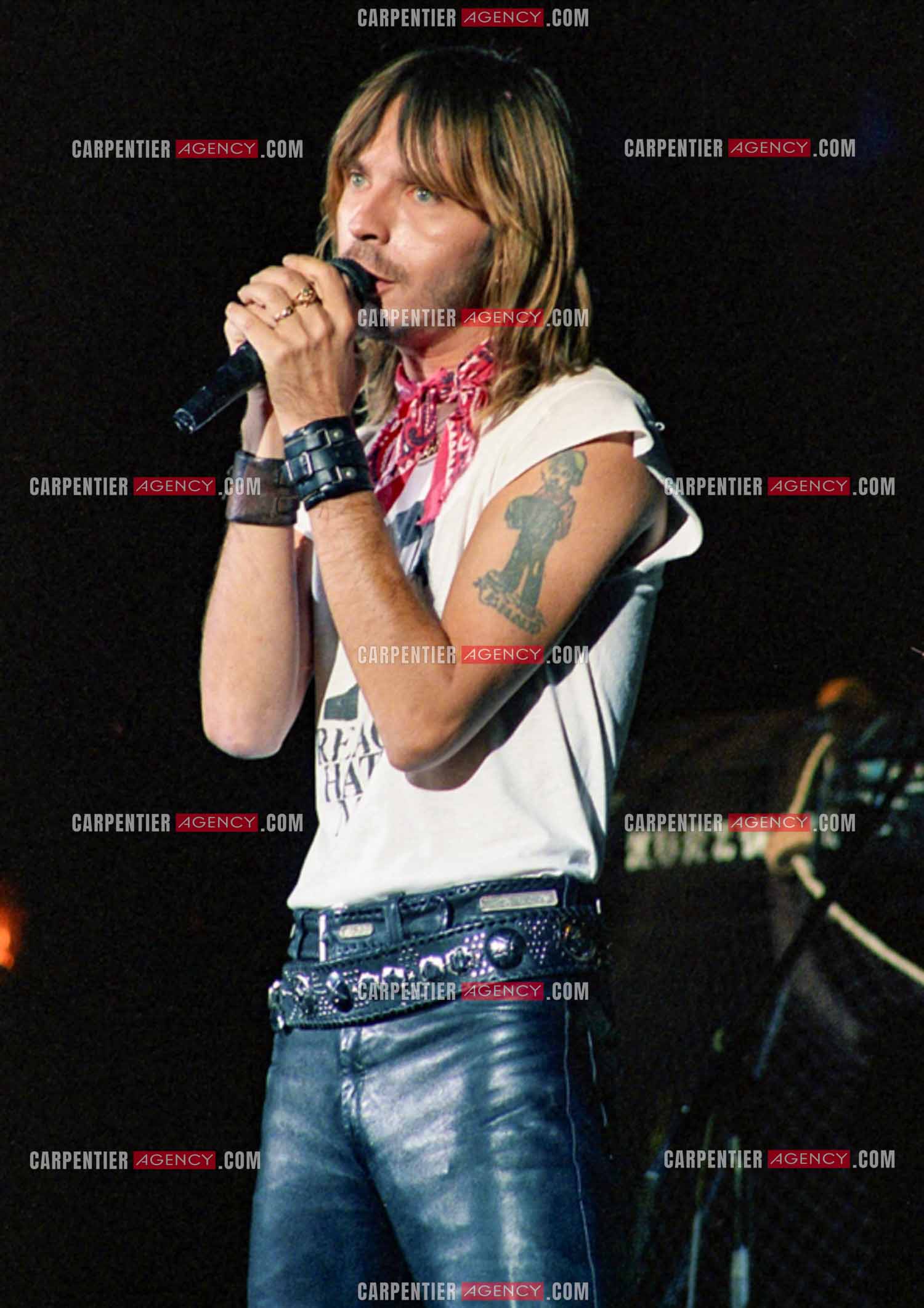 Le chanteur Renaud Séchan en concert.