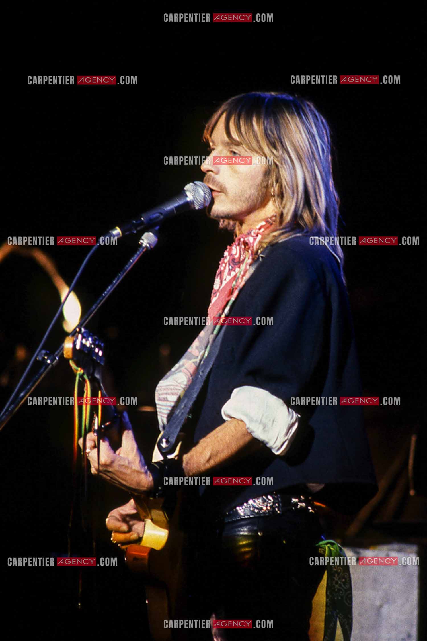 Le chanteur Renaud Séchan en concert.