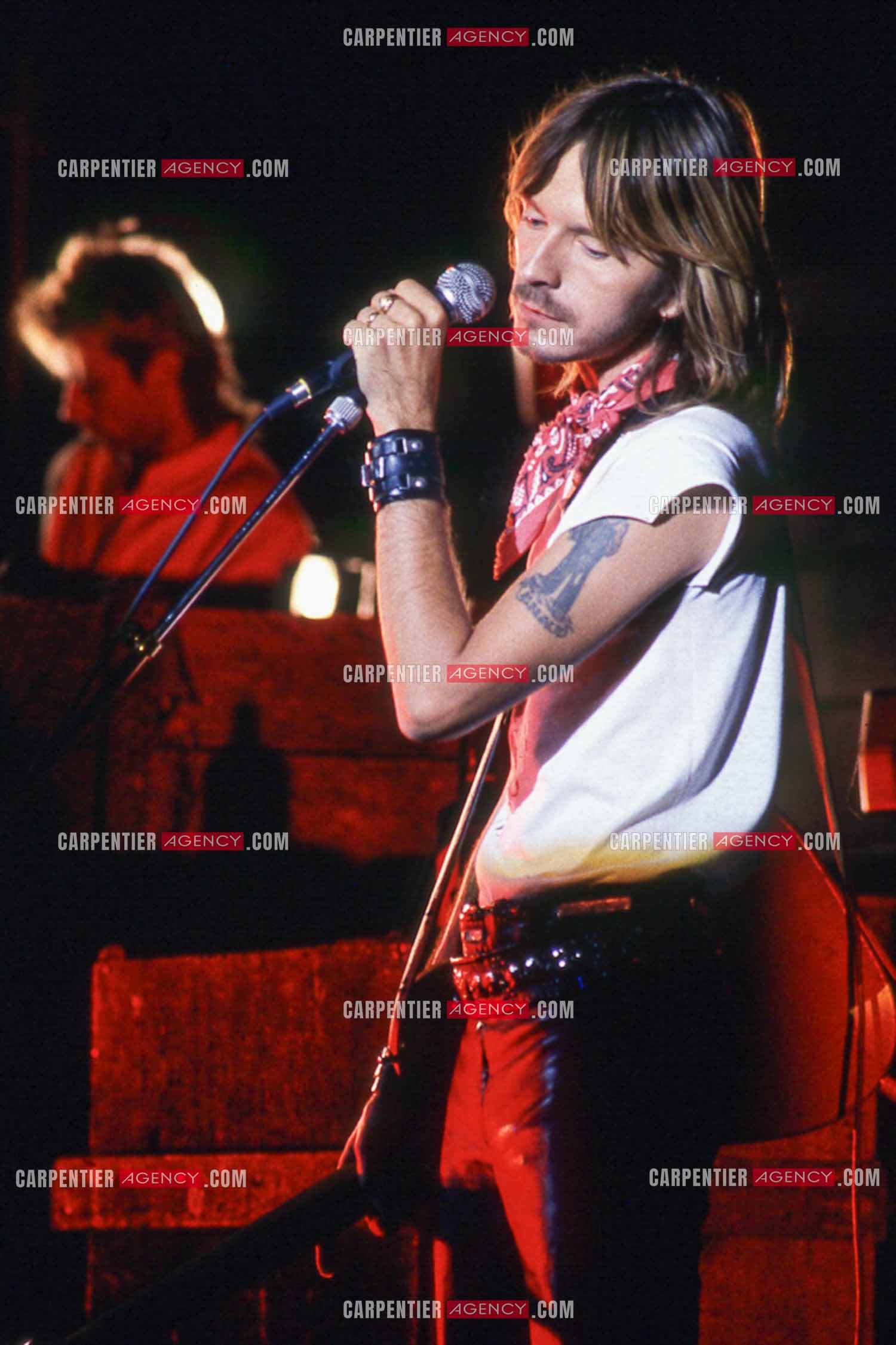 Le chanteur Renaud Séchan en concert.
