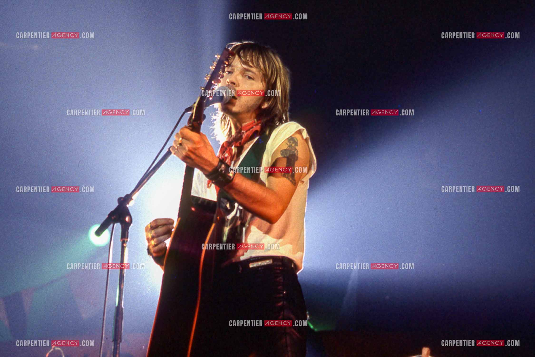 Le chanteur Renaud Séchan en concert.