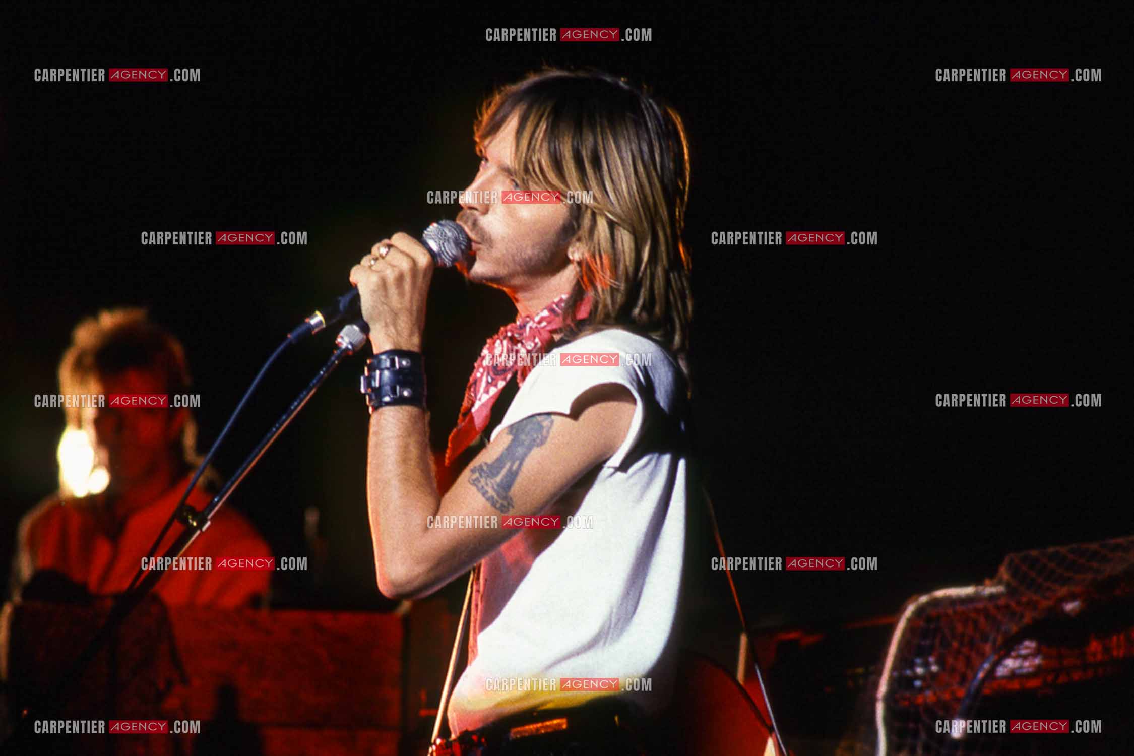 Le chanteur Renaud Séchan en concert.