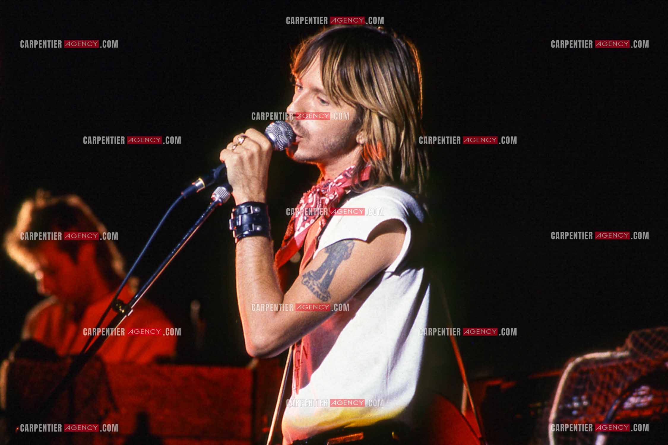 Le chanteur Renaud Séchan en concert.