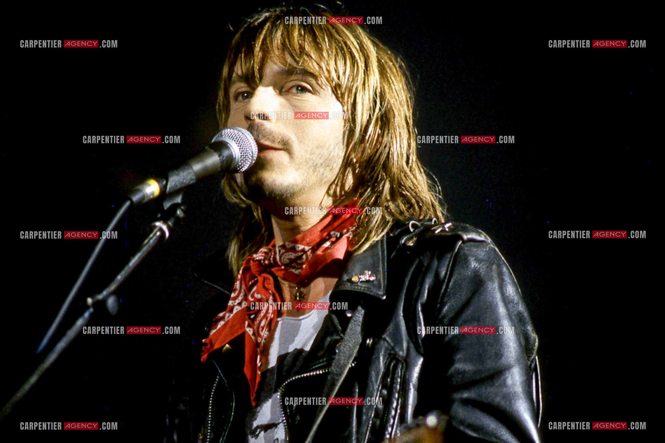 Le chanteur Renaud Séchan en concert.