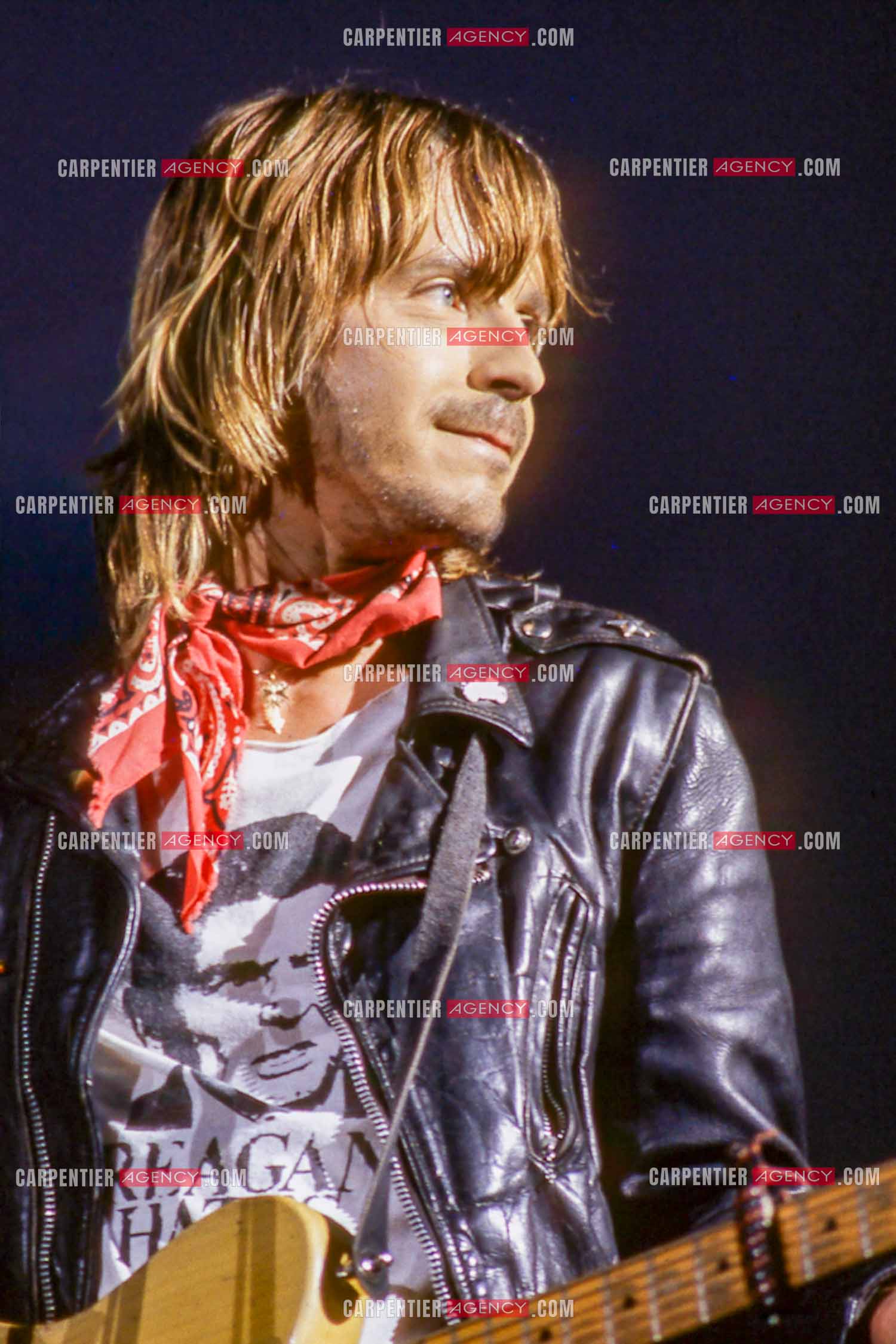 Le chanteur Renaud Séchan en concert.