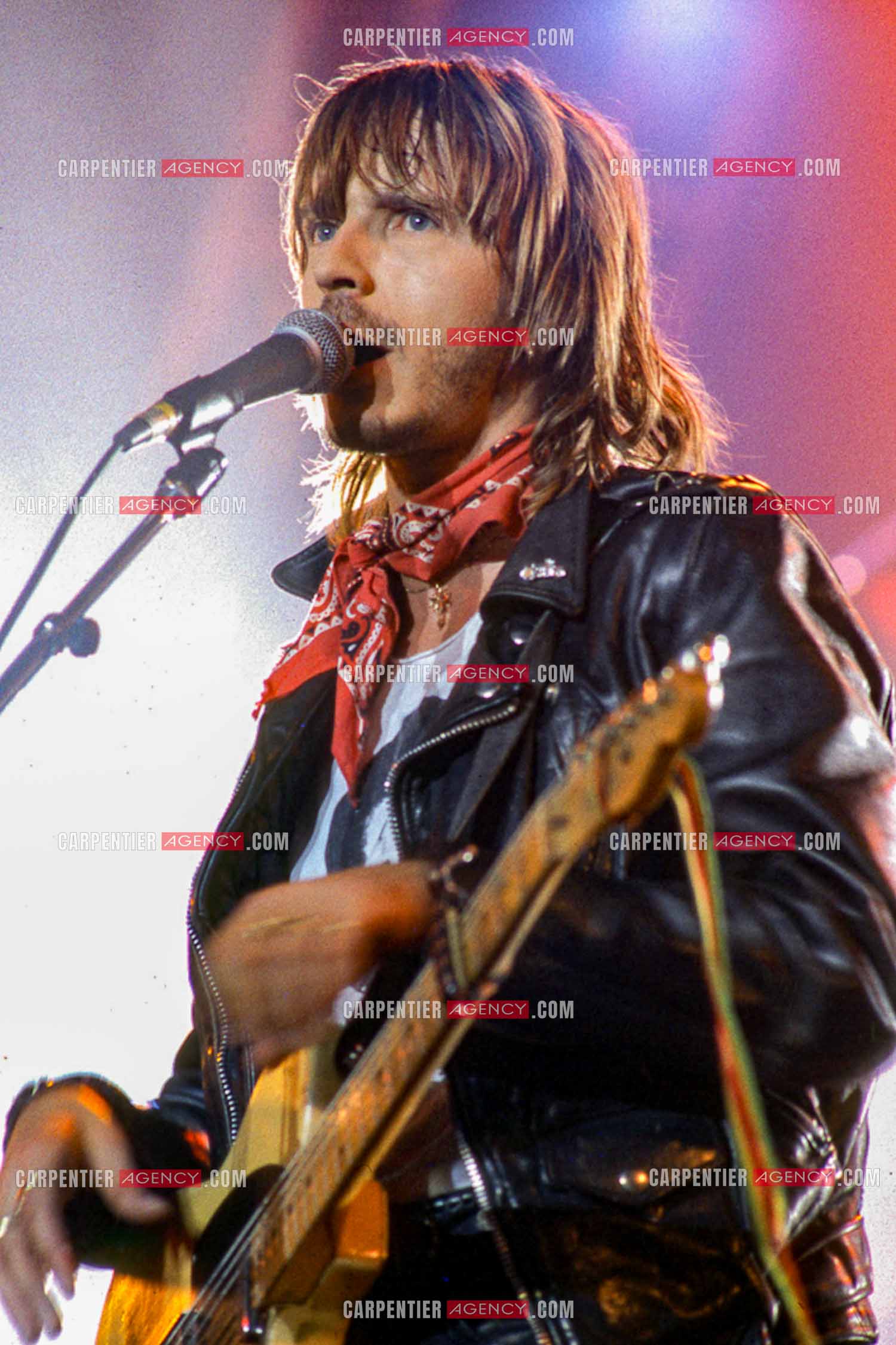 Le chanteur Renaud Séchan en concert.