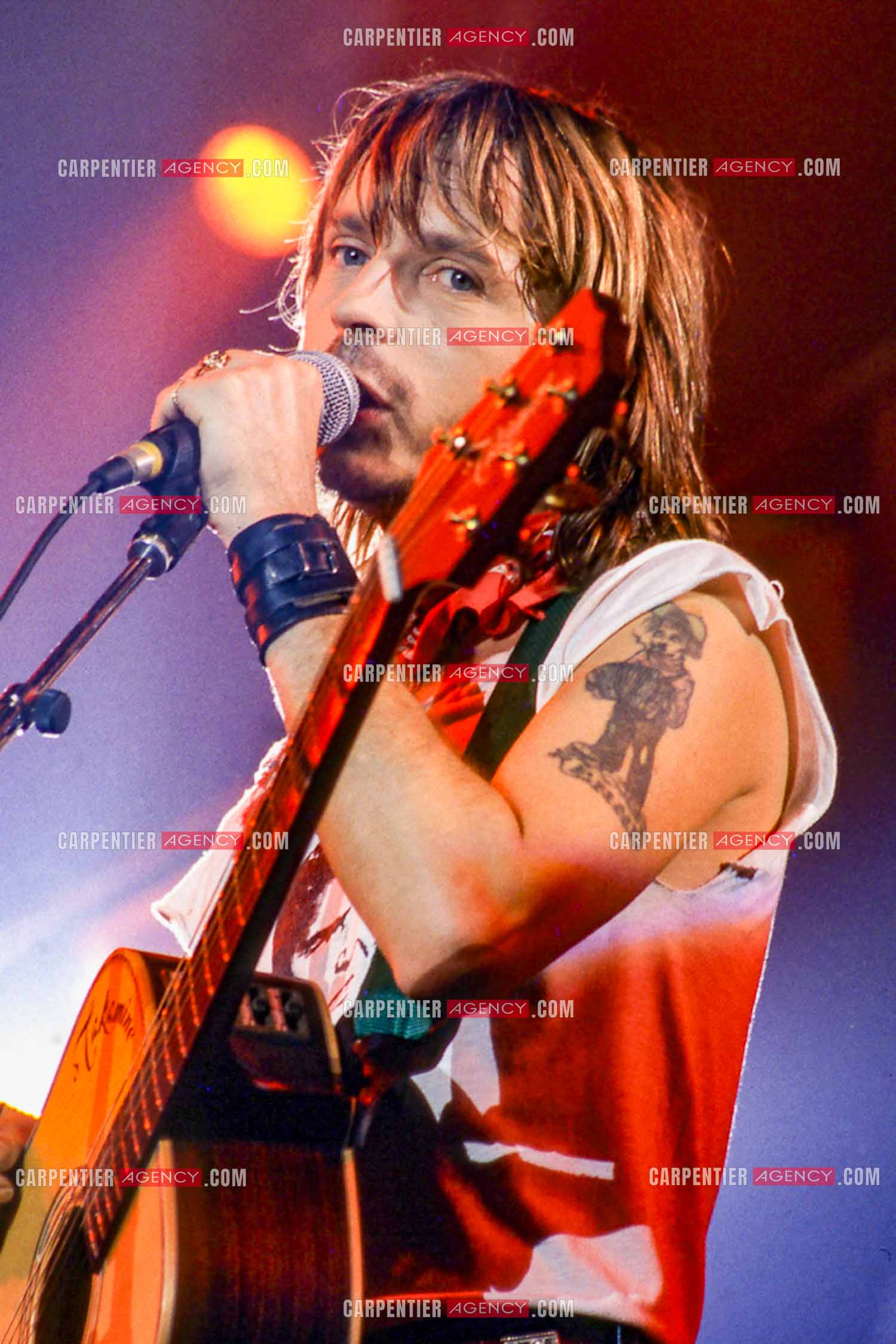 Le chanteur Renaud Séchan en concert.