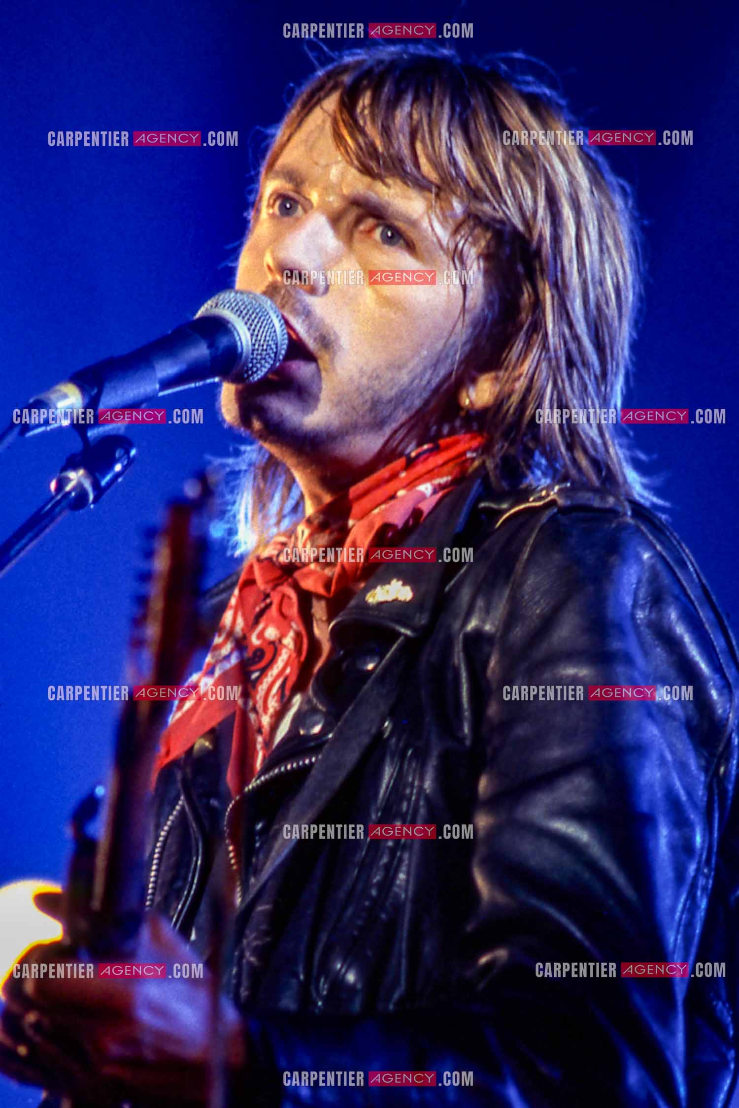 Le chanteur Renaud Séchan en concert.