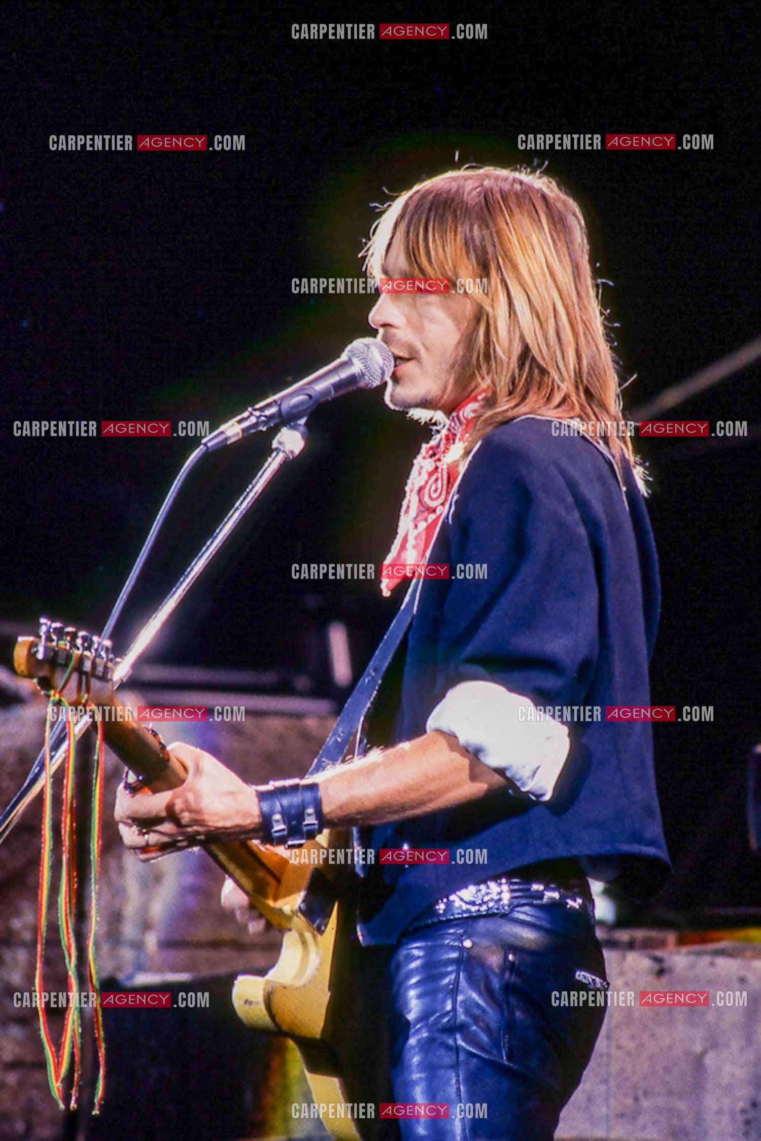 Le chanteur Renaud Séchan en concert.