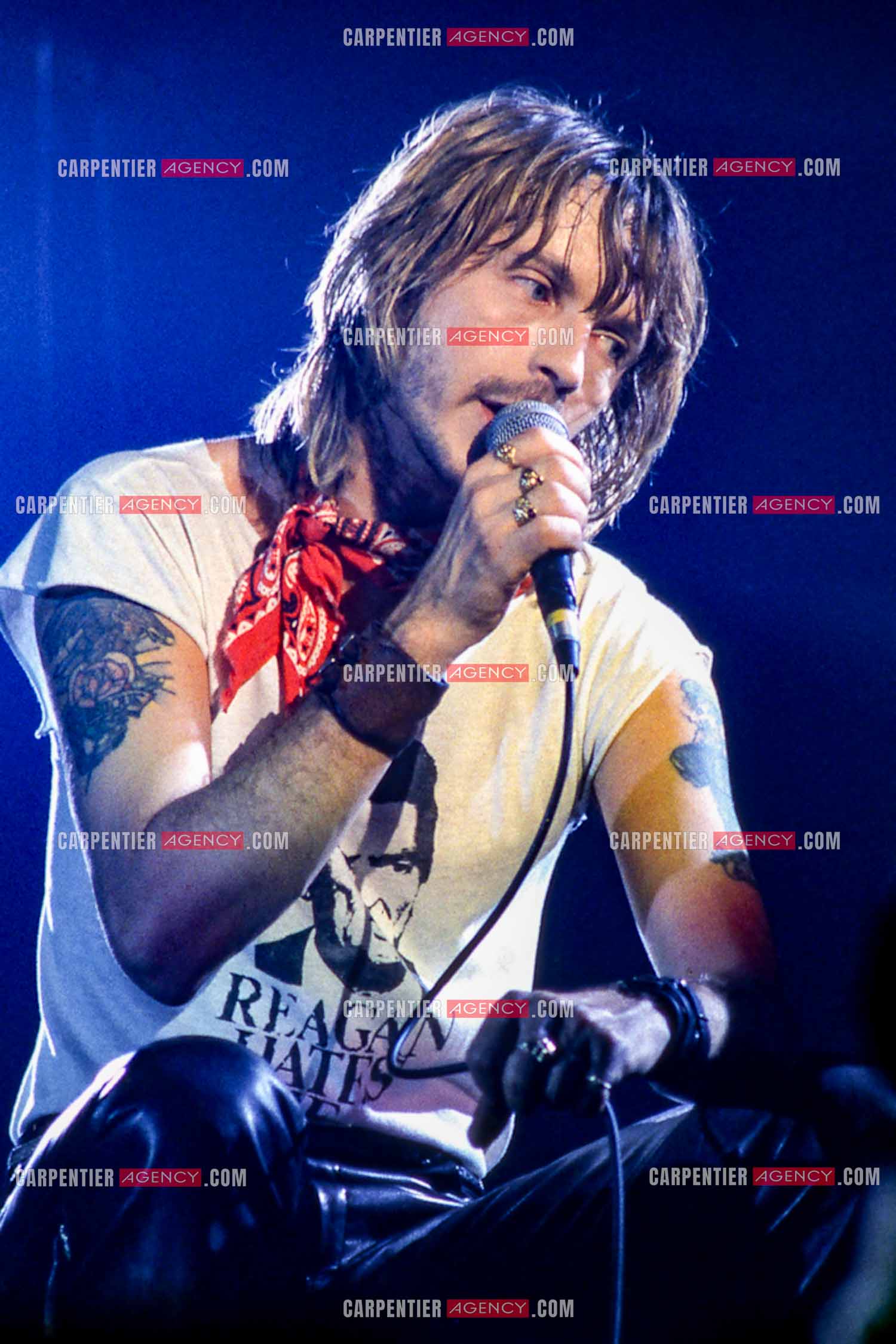 Le chanteur Renaud Séchan en concert.