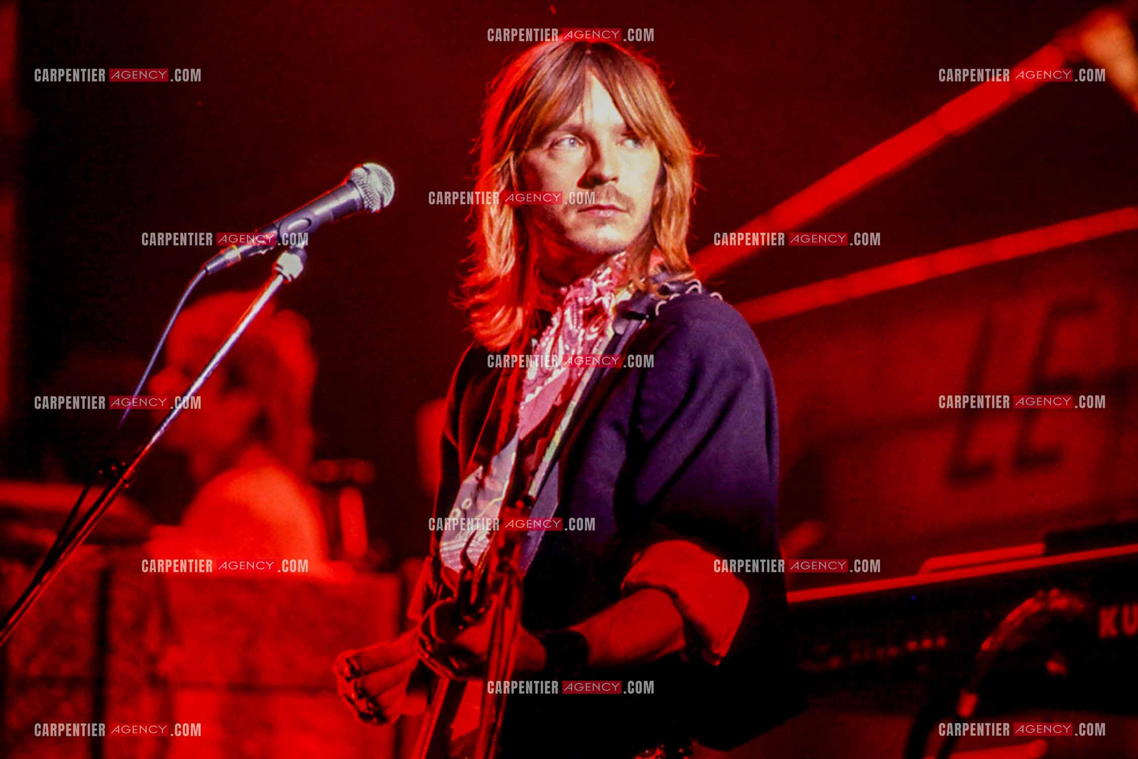 Le chanteur Renaud Séchan en concert.