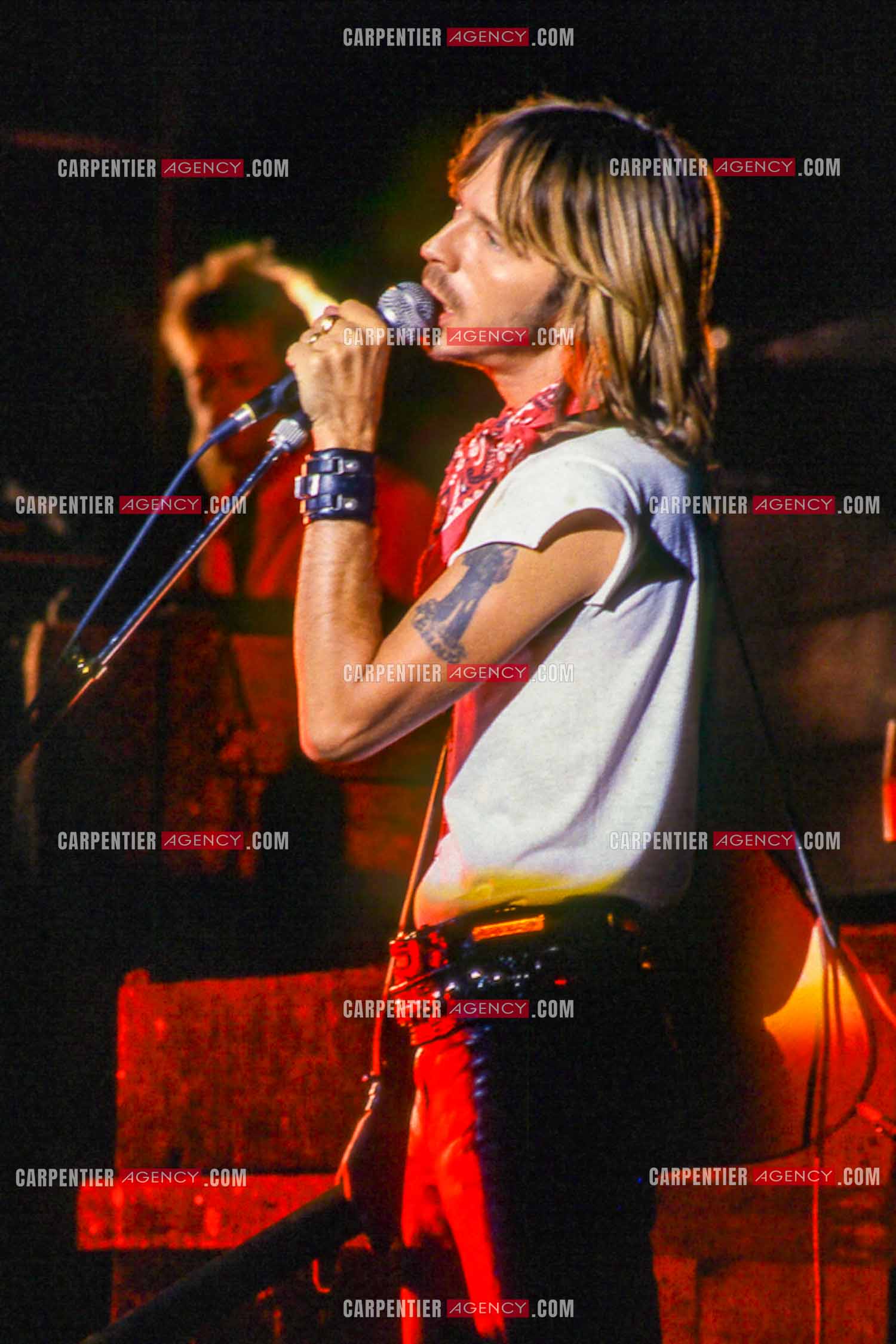 Le chanteur Renaud Séchan en concert.