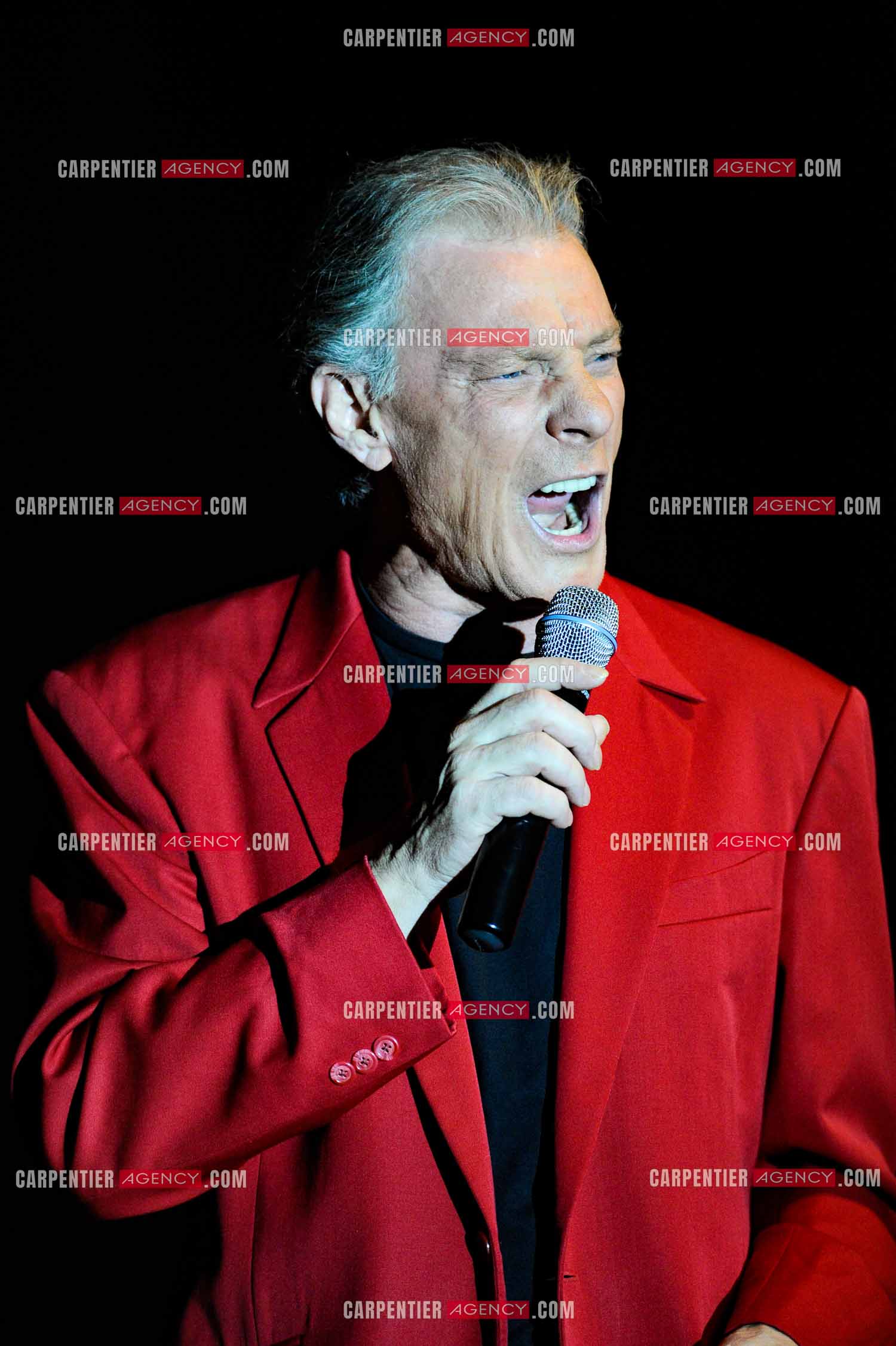 Le chanteur Herbert Léonard en concert en 2011.    ( Exclusif )