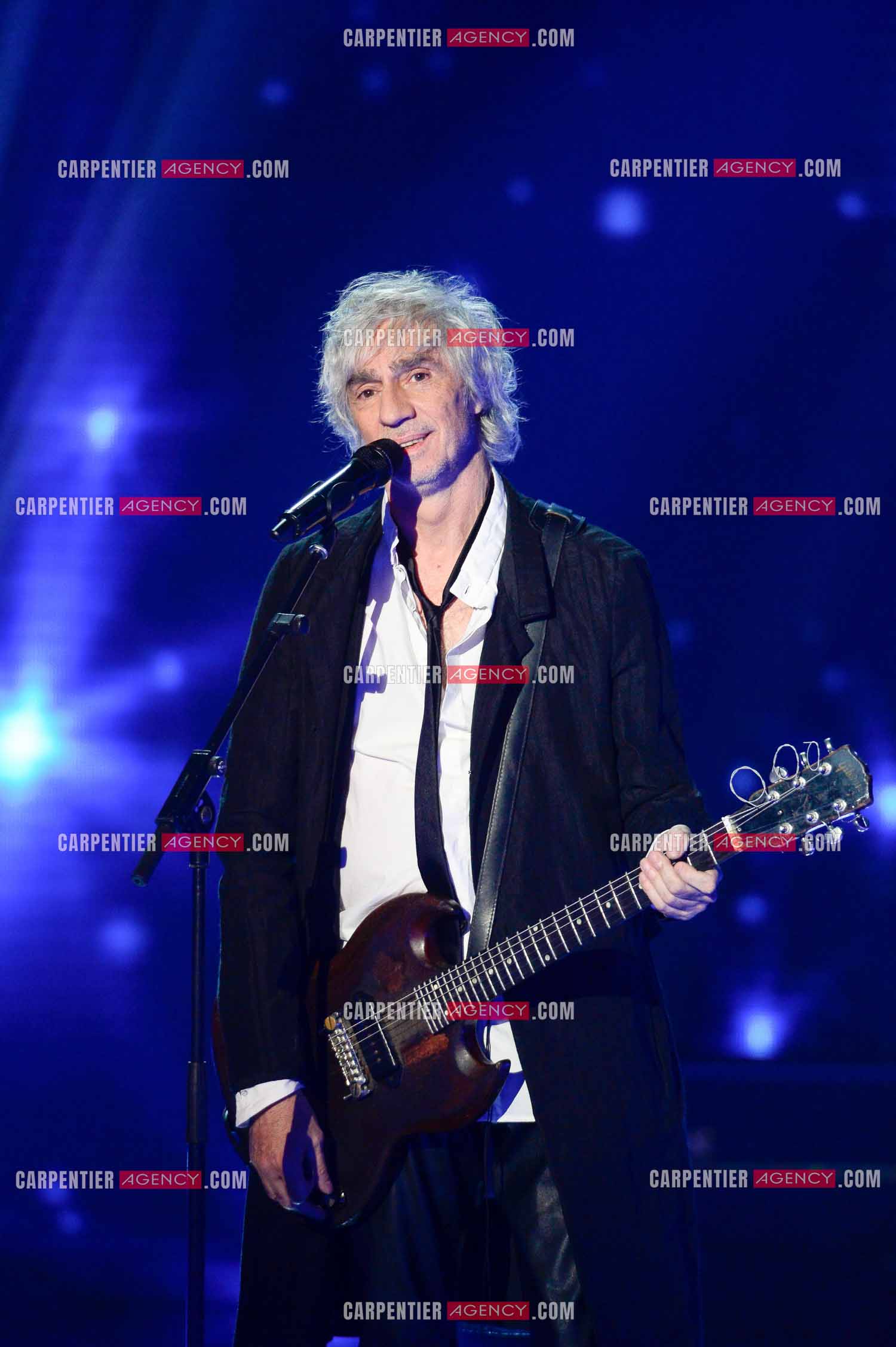 Le chanteur Louis Bertignac en concert.