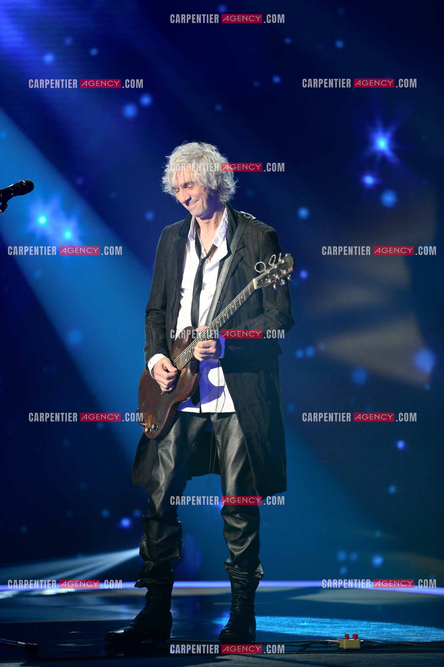 Le chanteur LOUIS BERTIGNAC en concert.