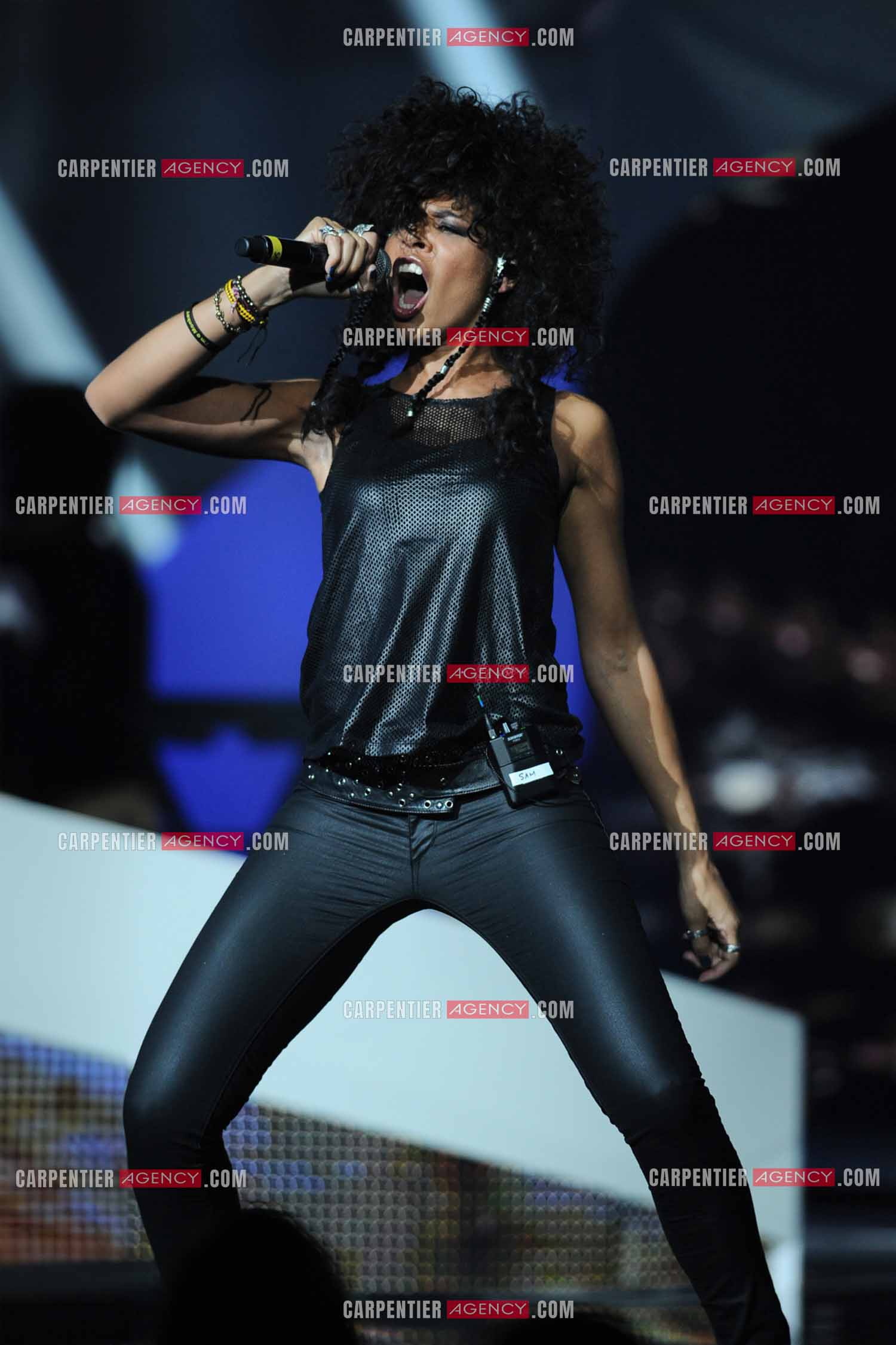 28e cérémonie des Victoires de la musique le 8 février 2013 au Zénith de Paris. Le groupe Shaka Ponk reçoit la victoire du vidéo-clip de l'année, du spectacle musical, de la tournée et du concert de l'année.