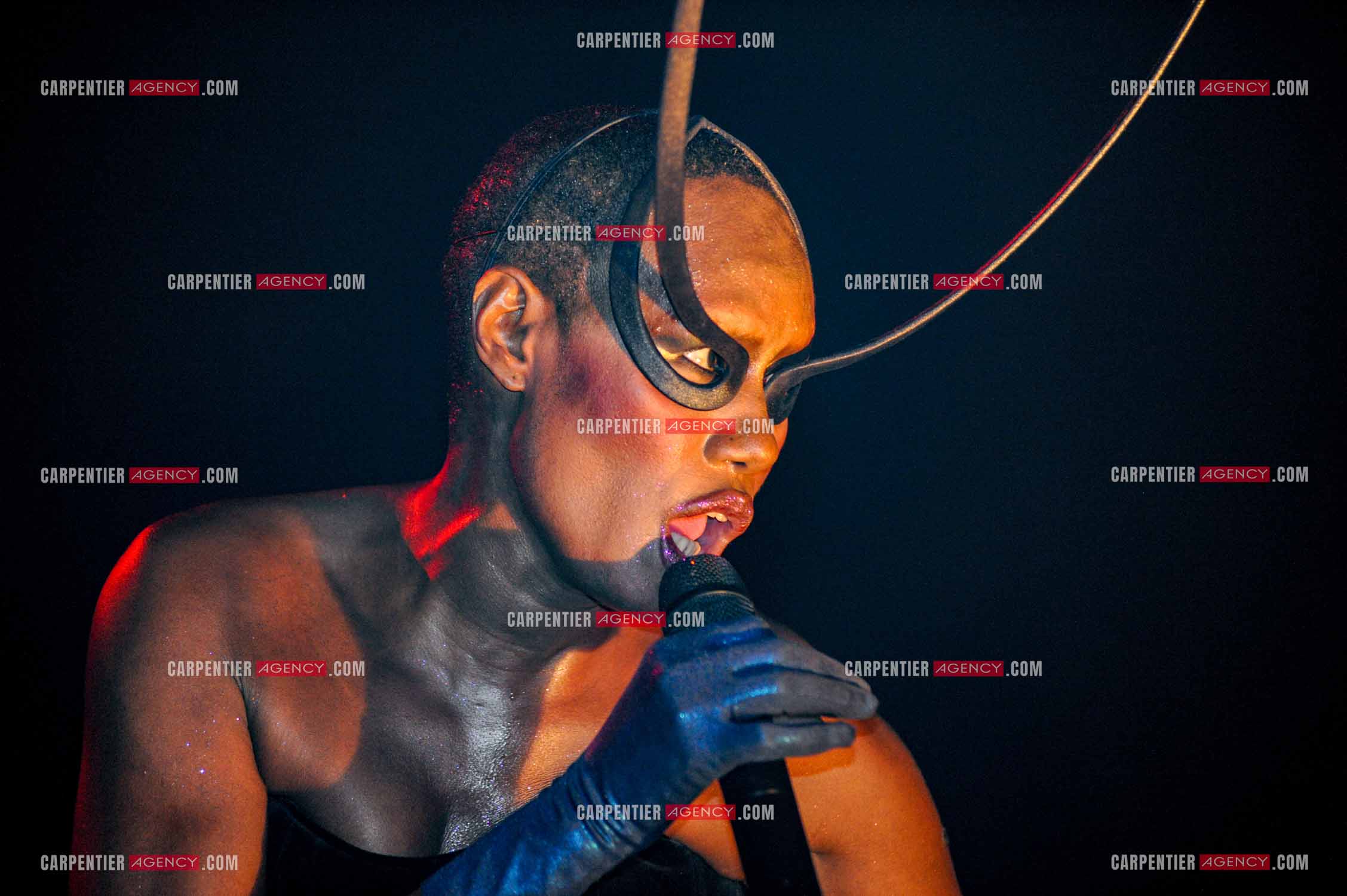 La chanteuse Grace Jones en concert au Grand Rex à Paris le 23 mars 2009.  ( Exclusif )