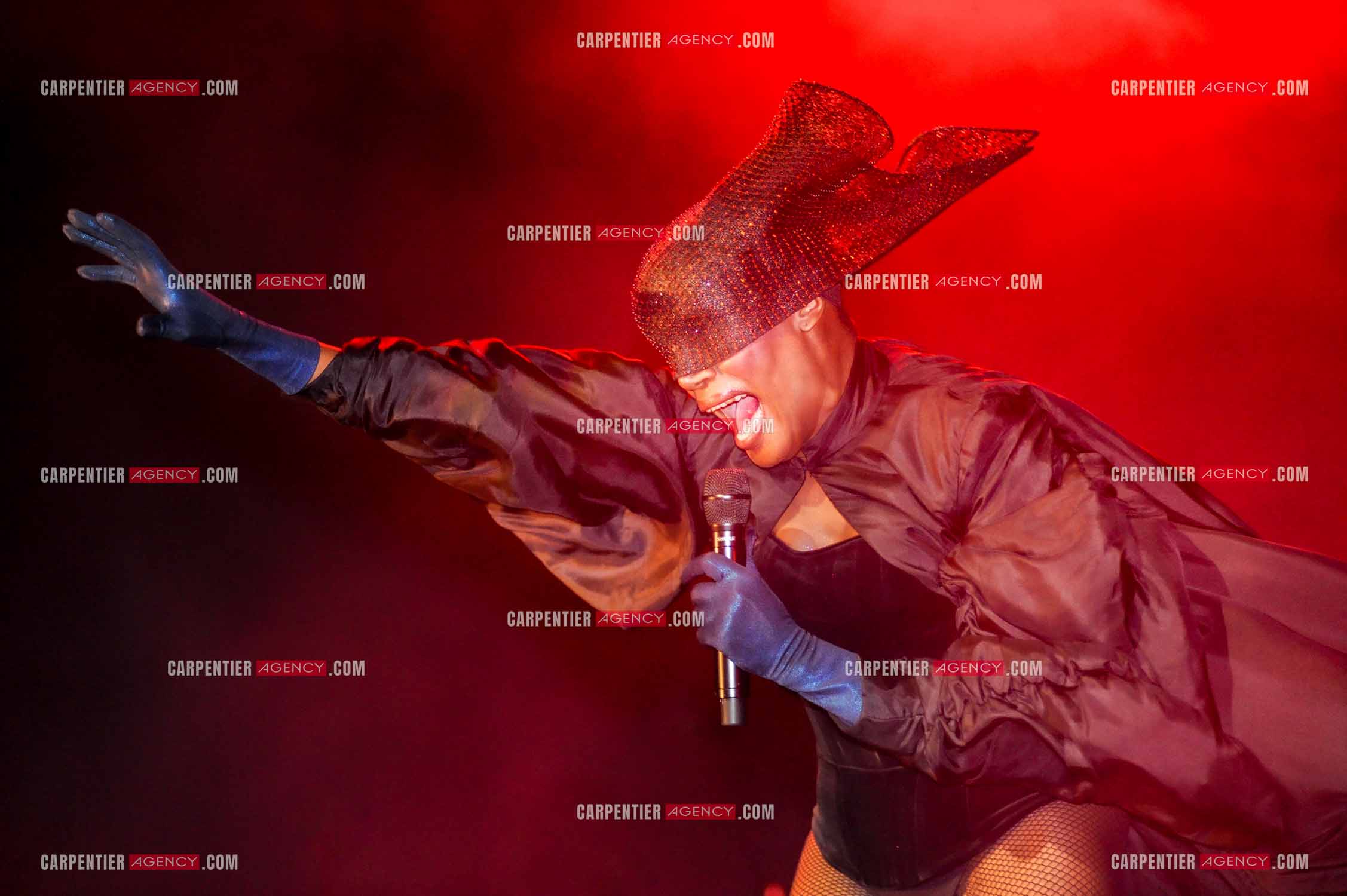 La chanteuse Grace Jones en concert au Grand Rex à Paris le 23 mars 2009.  ( Exclusif )