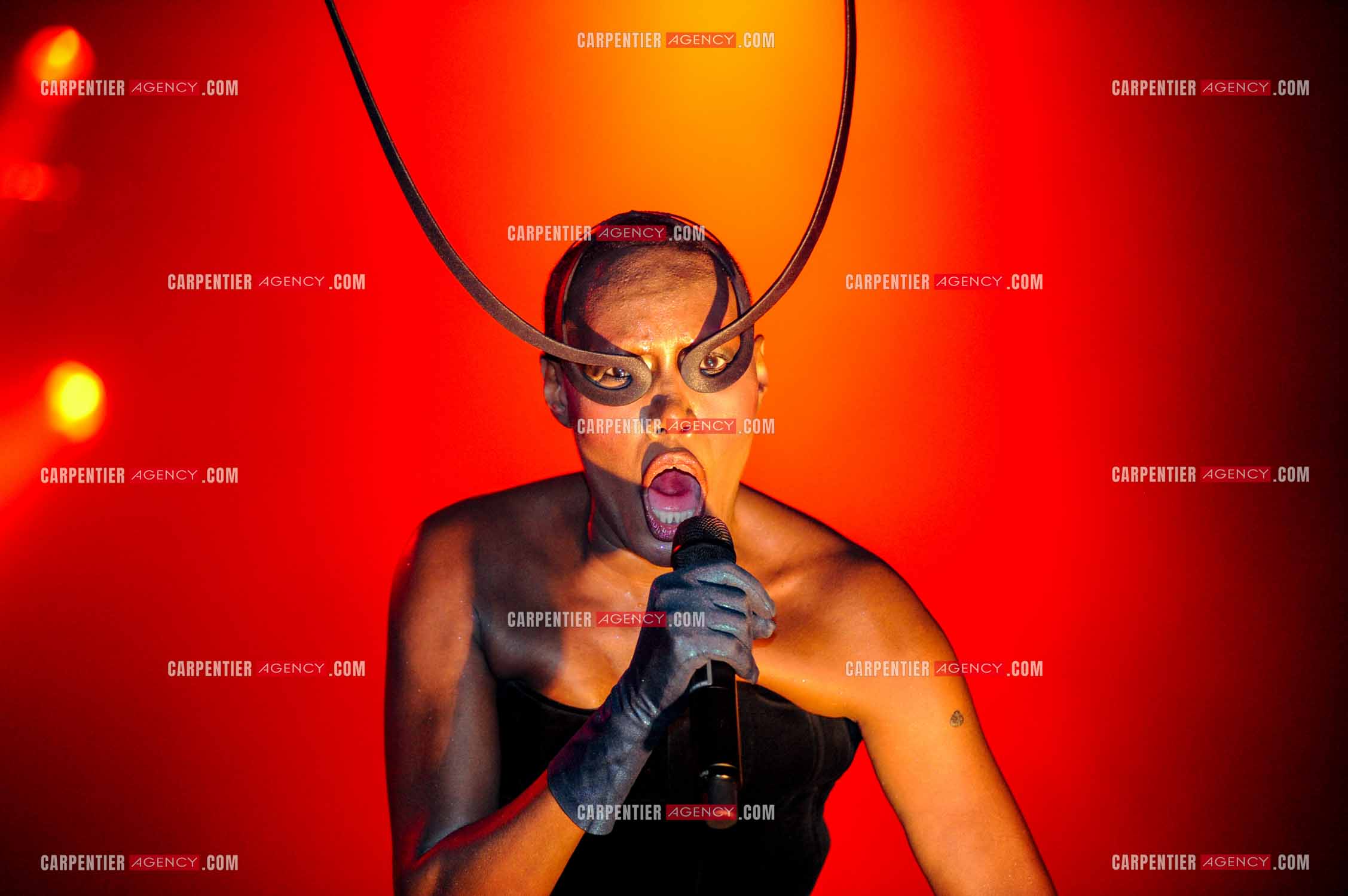 La chanteuse Grace Jones en concert au Grand Rex à Paris le 23 mars 2009.  ( Exclusif )